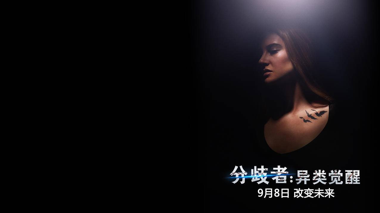 微信投票自助下单网站-快手真人粉丝平台 永不掉粉-卡盟24小时自助下单免费-抖音自动点赞